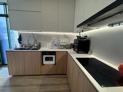 Signature Park (D21), Condominium #610432521